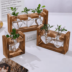 heartbloom glass vase with wooden stand for hydroponic plant propagation and home decor