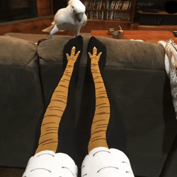 funny chicken print thigh high socks