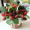 BerryJoy 9 Head Artificial Strawberry Plant Pot Realistic Strawberry Potted Decoration For Wedding 0
