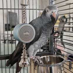 interactive parrot training toy – voice recording & playback bird talking coach with chewing bell