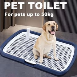 reusable dog potty training toilet with removable grid tray – hygienic indoor pee pad holder for pets