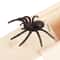 Wooden Trick Spider Scare Box Surprise Prank Hidden Box For Friends Office Party Gags 1