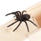 Wooden Trick Spider Scare Box Surprise Prank Hidden Box For Friends Office Party Gags 1