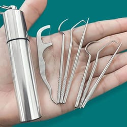 cleancarry stainless steel toothpick & flossing travel set