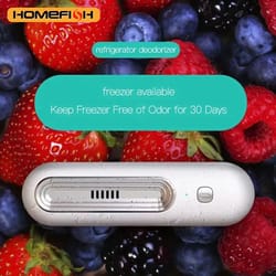 refrigerator deodorizer and air purifier for fridge and car