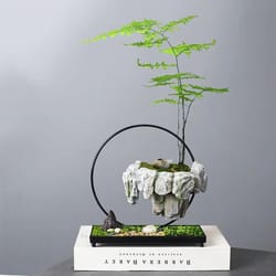 creative bamboo succulent pot with floating island bonsai design