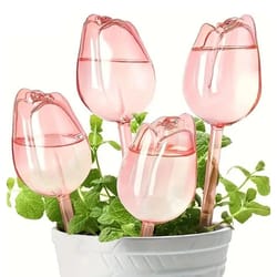 pink tulip automatic plant watering balls