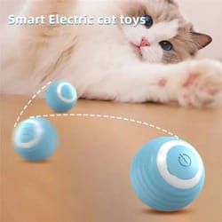 interactive rolling electric ball toy for cats