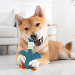 wild goose squeaky dog & cat chew toy – bite-resistant teeth cleaning interactive pet toy