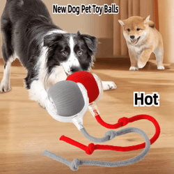 rechargeable interactive pet ball toy – automatic rolling cat ball & rechargeable electric dog toy with smart motion
