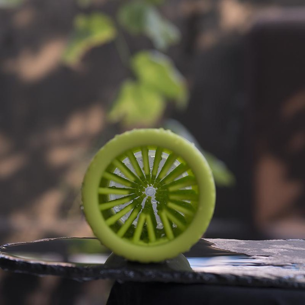 best dog paw cleaner