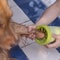 dog foot cleaner
