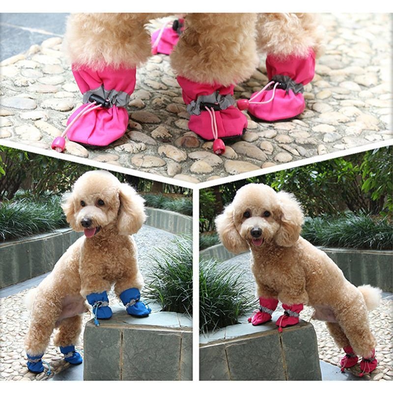 Adorable Dog Booties