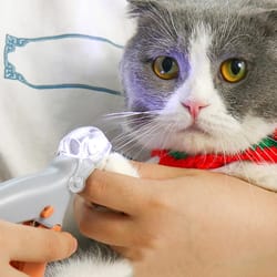 led pet nail clipper with magnifier – best lighted dog & cat clippers