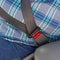 seatbelt extender for car