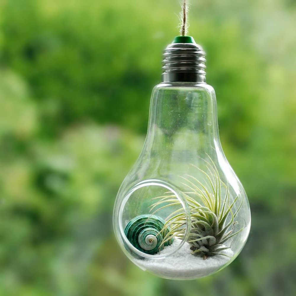 Modern Light Bulb Planter 3